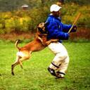 Dale Bourne - @dhb8208 - Twitter