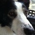 Pixelmover (@mikeprittie) Twitter profile photo