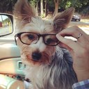 Katie Grayson - @kgraybanks - Twitter