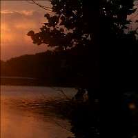 RandyRandylee's profile picture. 