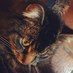 Sandpits (@wooscat) Twitter profile photo Sandpits (@wooscat) Twitter profile photo