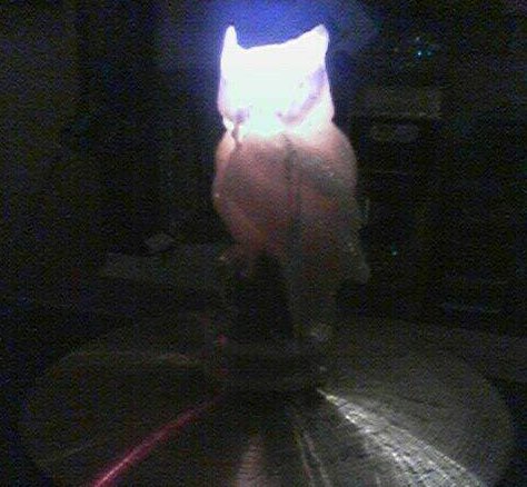 Pilot Light Profile