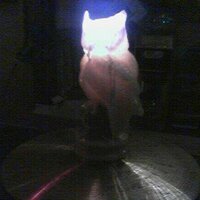 Pilot Light (@pilotlightknox) 's Twitter Profile