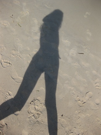 Postbabylon's profile picture. Homo Sapiens was an Immigrant and so am I.