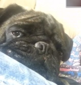 hecamire's profile picture. 