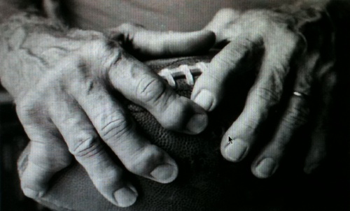 Coach_Carmich's profile picture. Teacher of Government and Economics, Football Coach, Basketball Coach, Married with 4 children