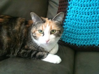 mmjswheeler's profile picture. love tennis/tennis mom