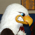Galway Athletics (@galwayathletics) Twitter profile photo Galway Athletics (@galwayathletics) Twitter profile photo
