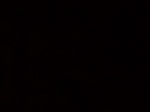 OmarMomen98's profile picture. 