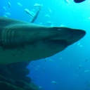 Ernest Jean - @Babylon124Jean - Twitter