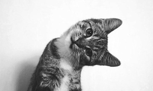 Aleksandr__116's profile picture. Мы созданы друг для друга, как Икарус для Цоя. Тут будет мат, так что беги нах*й.