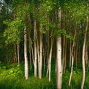 Paul Litzinger - @plpics - Twitter