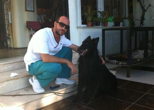 royal_paws.nl