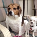 Patsy Romero - @romeropatsy - Twitter