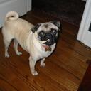 Paul DeVries - @pdgdevries - Twitter