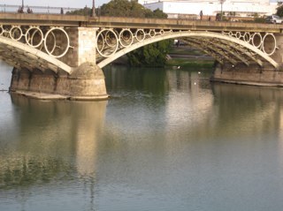 masangago's profile picture. 