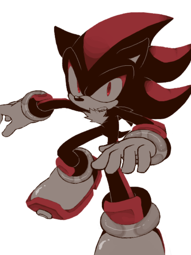 A black hedgehog too badass for words.I work as an agent for G.U.N,Master of Chaos Control,Speed Demon,my rival is Sonic the hedgehog and leader of Team Dark.