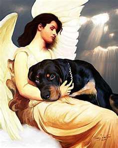 its all about the animals for me. I will tweet petitions or animals in need of homes or whatever the need may be.