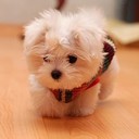 Ingrid Pechon (@0702Ingrid) Twitter