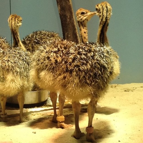 AMMom's profile picture. 