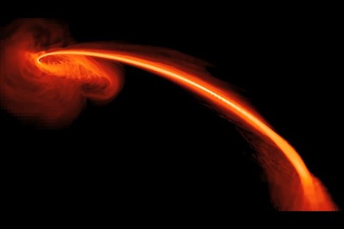 jafardin's profile picture. 