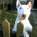 Heidi Mchugh - @HeidiMchugh1 - Twitter