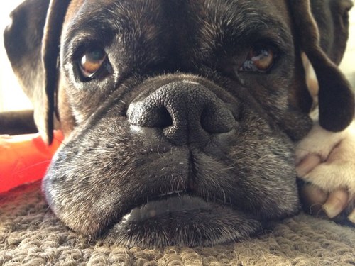 delliejelly's profile picture. 