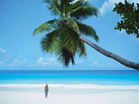 womenusa's profile picture. WOMEN Products to buy online in USA