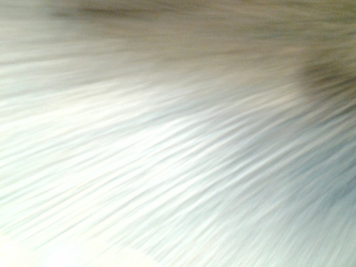 beachilfans's profile picture. 