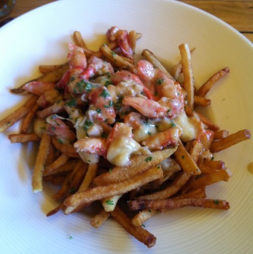 Salamintheattic's profile picture. 