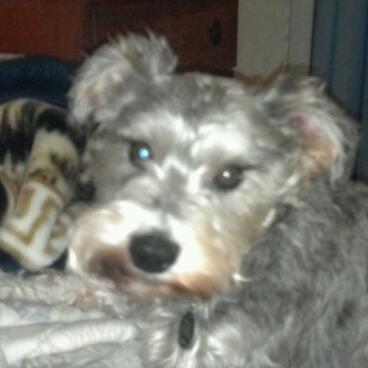 nurseshark89's profile picture. 