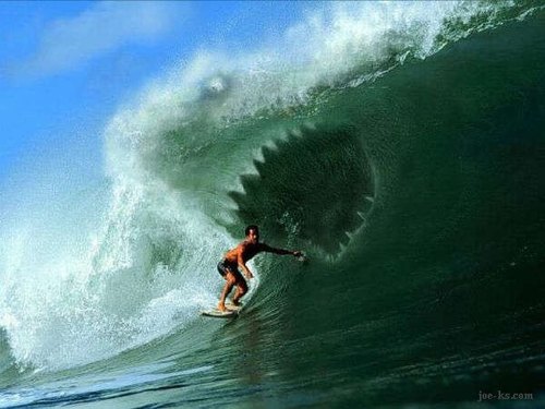 海が大好きな週末サーファーです。いろんな海の情報を知りたいです！最近は仕事に没頭中(^。^)y-~