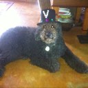 Leann Dawson - @fallstreaks - Twitter