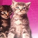 kayla eckert - @eckert_kayla - Twitter