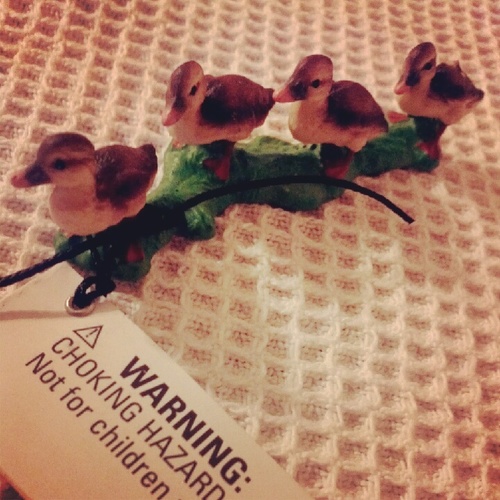 patitozenfila's profile picture. El lado B. La pura verdad.