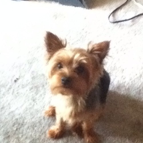 Orlajean1950's profile picture. 