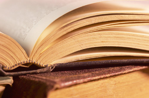 Avid reader and would be novelist. Conquering the world of literature one book at a time!