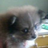 bitchinyo's profile image