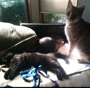 Scrappy7140's profile picture. 