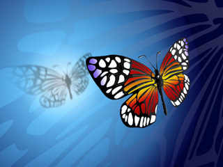 ermwangi's profile picture. 