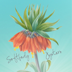 tarojyo's profile picture. じょうたろうです～ 焚火dubの人です〜