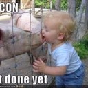 Amelia chapman - @amelia1272 - Twitter