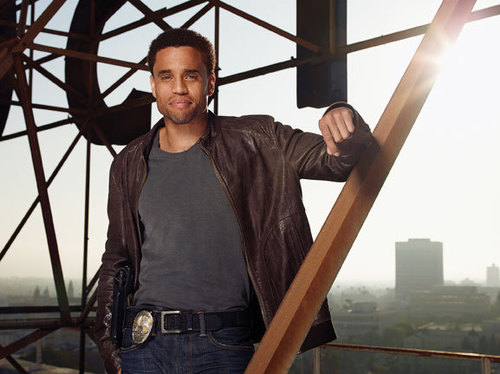 Agent Shields of S.H.I.E.L.D 
My mission: To annoy as many people as possible, without getting killed