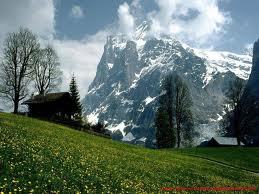 Happiness is when what you think, what you say, and what you do are in harmony.- Mahatma Gandhi