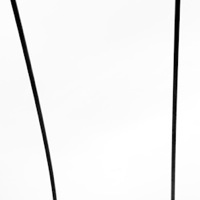 フロリアンブッシュ