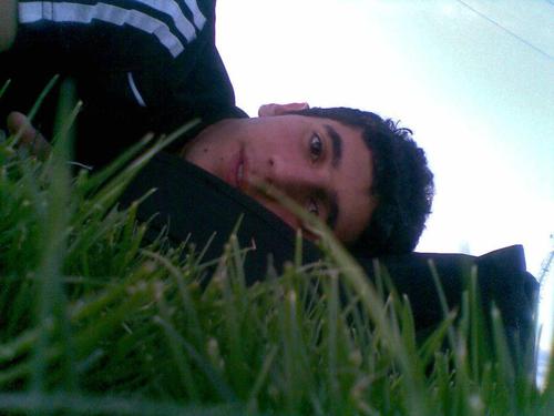 Never Say Never three words, so meaning And I\'m sorry I wanted to finish this bio but Niall farted too much and it blew away follow me i\'ll follow back