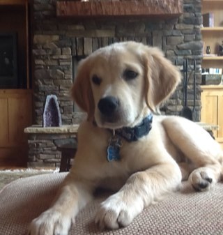 TannerLori's profile picture. Director of Education Outreach & Workforce Development for Cyberinfrastructure Technology Integration at Clemson University