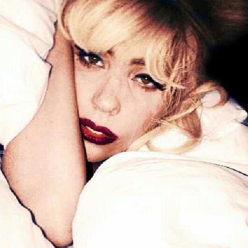 BornToBeGaga's profile picture. little monster for life! follow my new accounts @BadKidNohemi or @HausOfNohemi thanks ♡