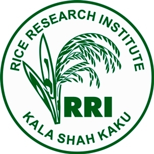 RRIKSK's profile picture. Research work on rice was started in 1926 when Rice Farm was established at Kala Shah Kaku eventually upgraded to the status of Rice Research Institute in 1970