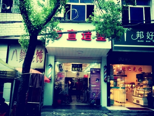 RosaMarsyl's profile picture. I'm free. Like the colors of the Wind.